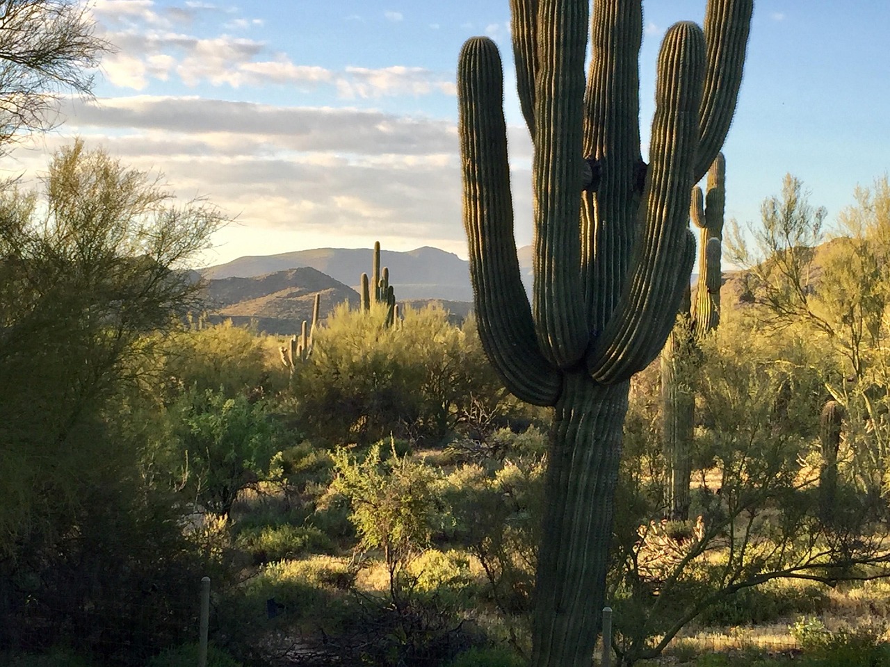 站群内容差异化策略，如何让每个站点都有独特价值